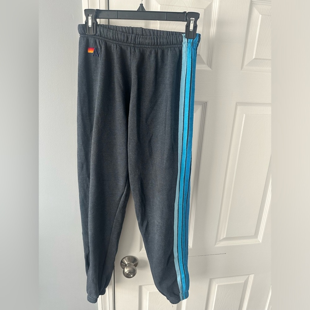 Aviator Nation navy blue 5 stripe sweatpants